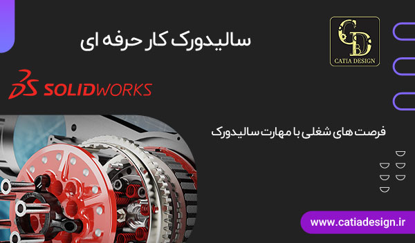 سالیدورک کار حرفه ای
